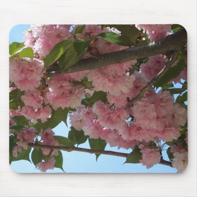 Double Blossoming Cherry Tree IV Spring Mouse Pad (Front)