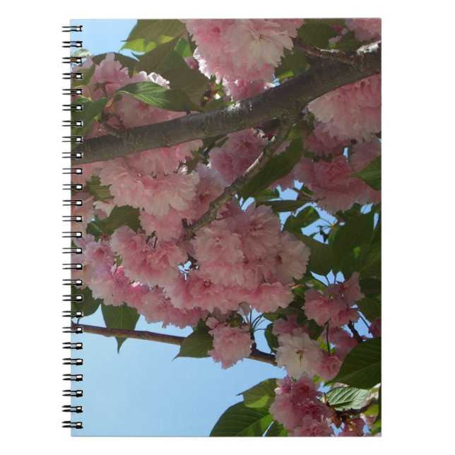 Double Blossoming Cherry Tree IV Spring Spiral Notebook (Front)