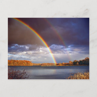 Double Bows Postcard