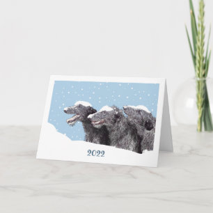 Double card for annual holidays