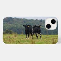 Double Cattle Trouble iPhone Case