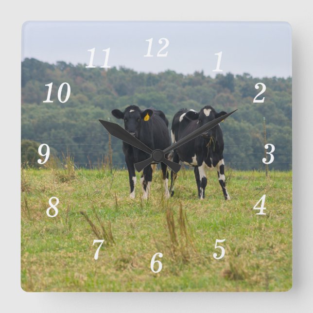 Double Cattle Trouble Wall Clock (Front)