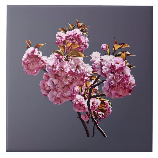 Double Cherry Blossom Branches Tile (Front)