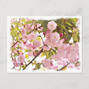 Double Cherry Blossom: Imose Postcard