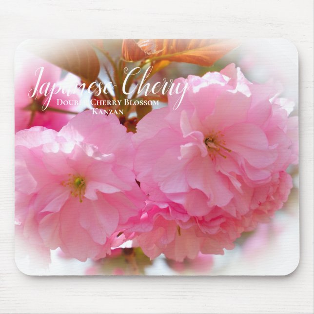 Double Cherry Blossom: Kanzan Mouse Pad (Front)