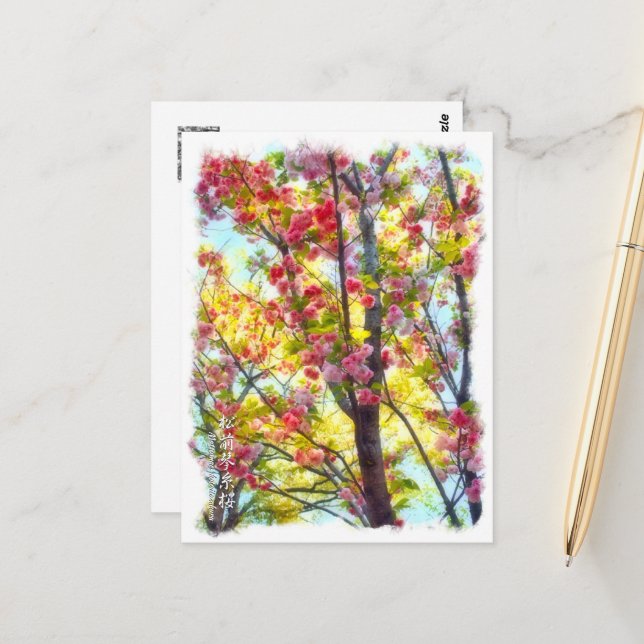 Double Cherry Blossom: Matsumae-kotoitozakura Post Postcard (Front/Back In Situ)