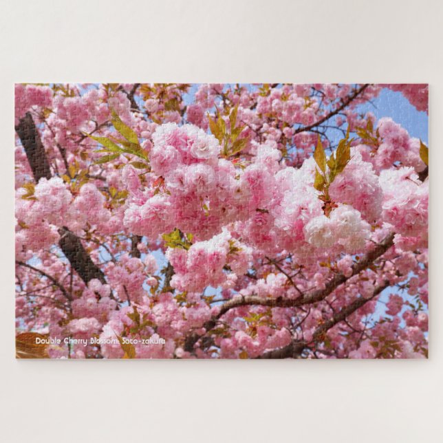Double Cherry Blossom: Sato-zakura Jigsaw Puzzle (Horizontal)