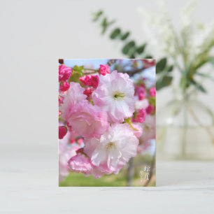 Double Cherry Blossom: Shogetsu Postcard