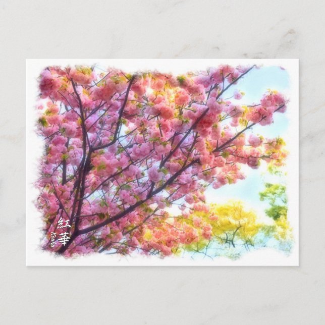 Double Cherry Blossoms: Blooming Lovely Postcard (Front)