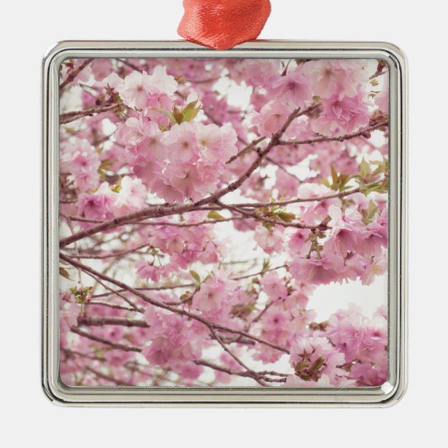 Double cherry blossoms in Japan Metal Tree Decoration (Front)