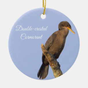 Double-crested Cormorant Bird Ornament 