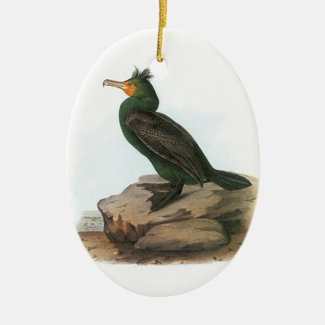 Double-crested Cormorant by Audubon Ceramic Tree Decoration (Front)