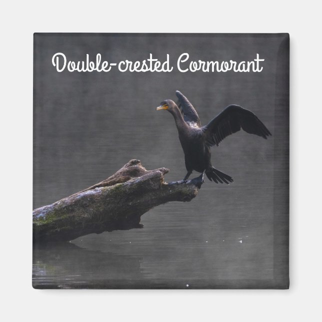 Double-crested Cormorant Magnet (Front)