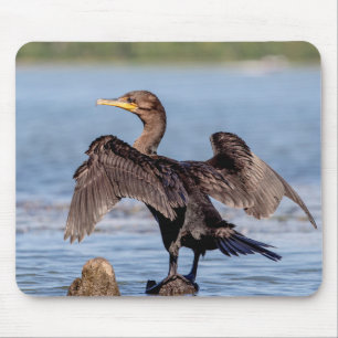 Double-crested Cormorant on Lake Champlain Mouse Pad