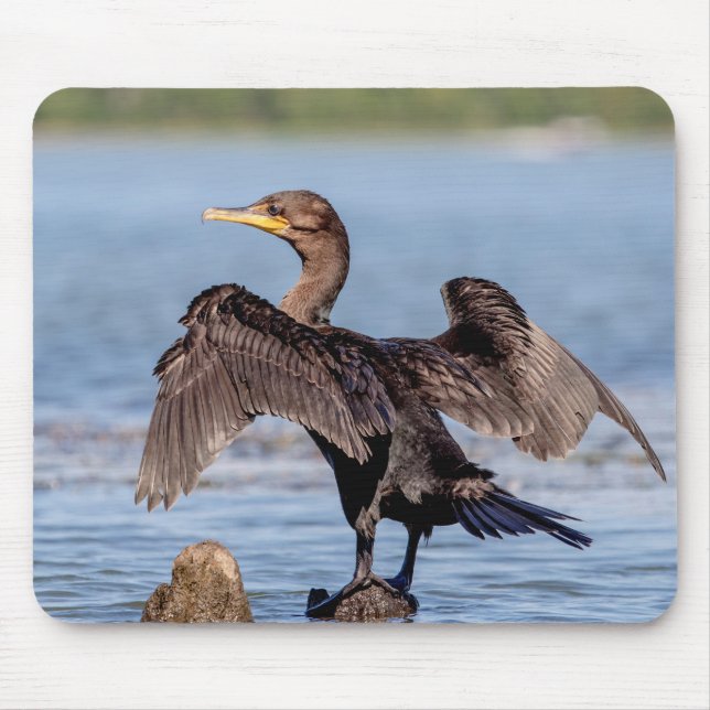 Double-crested Cormorant on Lake Champlain Mouse Pad (Front)