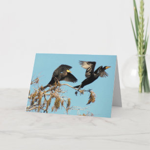 Double Crested Cormorants Take Flight (2537) Card