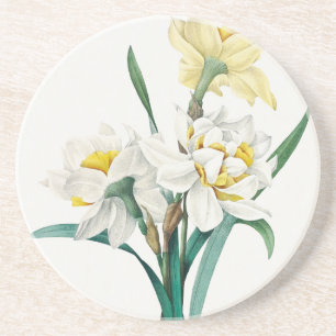 Double Daffodil, Pierre-Joseph Redouté, 1827 Coaster