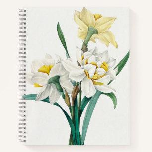 Double Daffodil, Pierre-Joseph Redouté, 1827 Notebook