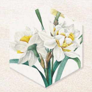 Double Daffodil, Pierre-Joseph Redouté, 1827 Paper Coaster