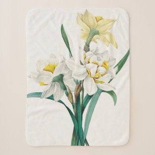 Double Daffodil, Pierre-Joseph Redouté, 1827 Sherpa Blanket