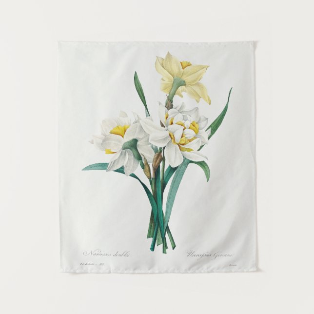 Double Daffodil,  Pierre-Joseph Redouté, 1827 Tapestry (Front)