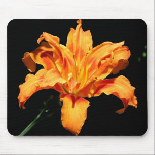 Double Day Lily Mouse Pad
