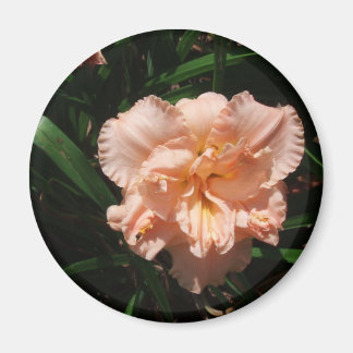 Double Daylily Magnet