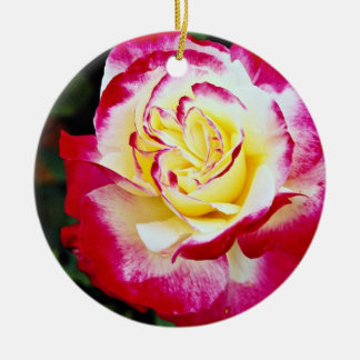 Double Delight Hybrid Tea Rose 'Andeli' White flow Ceramic Tree Decoration