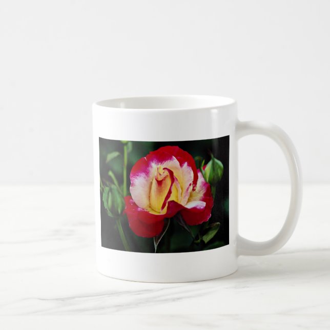 Double Delight Hybrid Tea Rose 'Andeli' White flow Coffee Mug (Right)