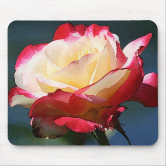 'Double Delight' hybrid tea rose Mouse Pad