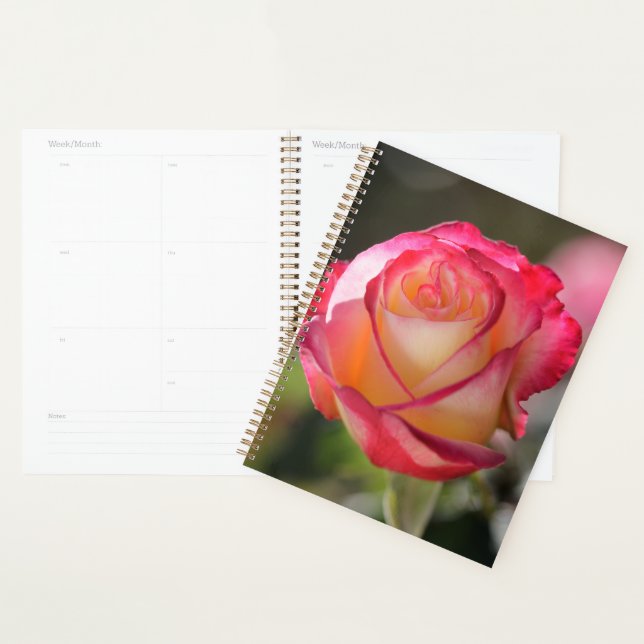 Double Delight Rose Planner (Display)