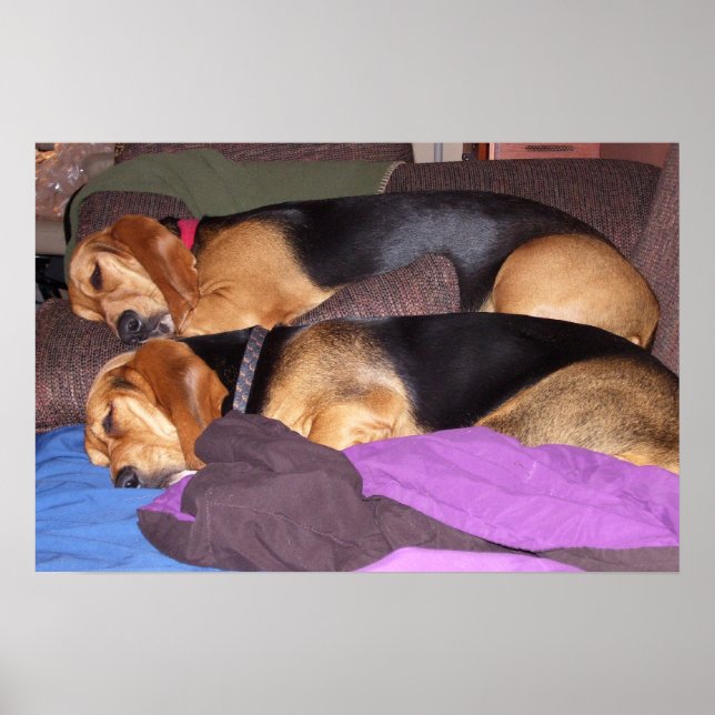 Double Dog Tired Poster (Front)