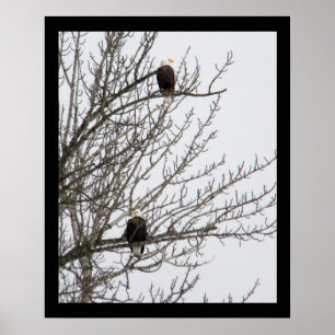 Double Eagle Poster