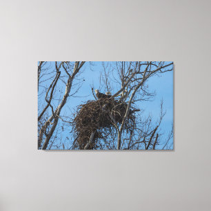 Double Eagle Trouble Canvas Print