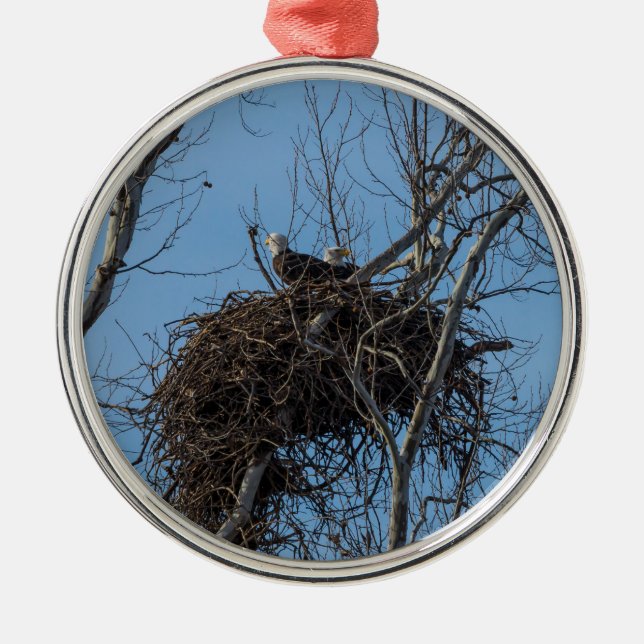 Double Eagle Trouble Metal Tree Decoration (Front)