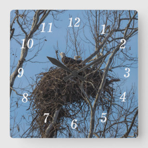 Double Eagle Trouble Wall Clock