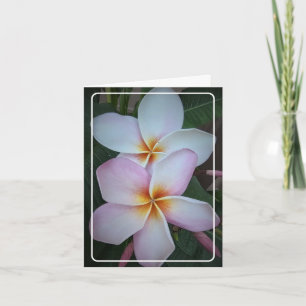 Double Halo Plumeria Folded Greeting Card