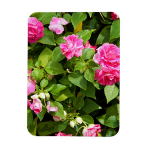 Double Impatiens Flexible Magnet