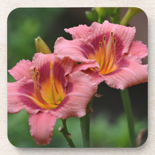 Double Lily Coaster (Front)