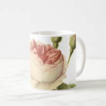 double moss rose by Redouté