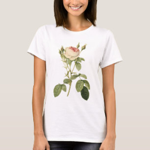 double moss rose by Redouté T-Shirt