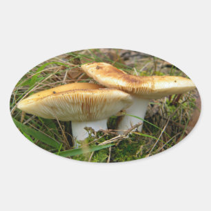 Double Mushroom Sticker