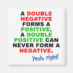 Double Negative Positive Funny Fridge Magnet