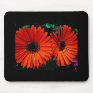 double orange colour daisy flowers mouse pad
