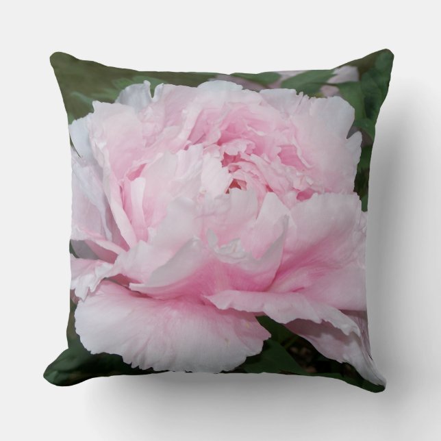 Double Peony Blooms x 2 Pillow (Front)