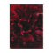 Double Peony Tulip Postcard