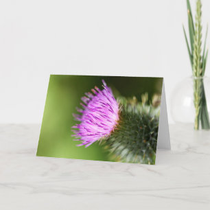 Double Pink Cherry Blossoms in Welcome Spring Card