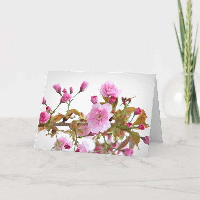 Double Pink Cherry Blossoms in Welcome Spring Card (Front)