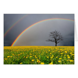 Double Rainbow