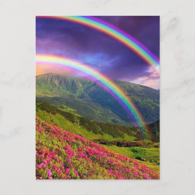 Double Rainbow Landscape Postcard (Front)